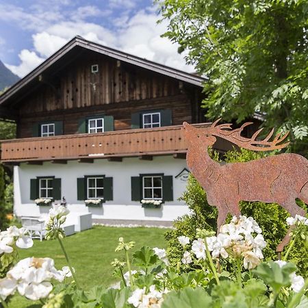 Forest Chalet, 15 Min To Salzburg Olt Town, And Most Beautiful Lakes, Secluded Location, 1,000 Sqm Garden, Mountainview, Panorama Sauna, Bath Whirlpool, Bbq&Bikes&Sunbeds For Free, Up To 10 P Golling an der Salzach Ngoại thất bức ảnh