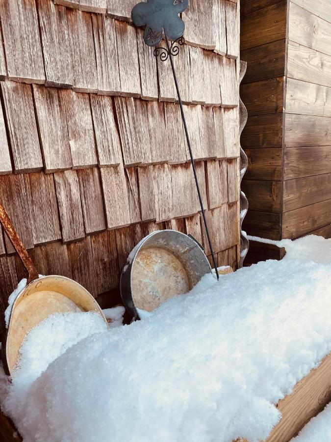 Forest Chalet, 15 Min To Salzburg Olt Town, And Most Beautiful Lakes, Secluded Location, 1,000 Sqm Garden, Mountainview, Panorama Sauna, Bath Whirlpool, Bbq&Bikes&Sunbeds For Free, Up To 10 P Golling an der Salzach Ngoại thất bức ảnh