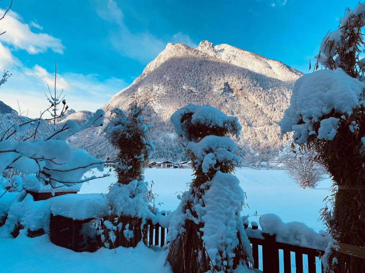 Forest Chalet, 15 Min To Salzburg Olt Town, And Most Beautiful Lakes, Secluded Location, 1,000 Sqm Garden, Mountainview, Panorama Sauna, Bath Whirlpool, Bbq&Bikes&Sunbeds For Free, Up To 10 P Golling an der Salzach Ngoại thất bức ảnh