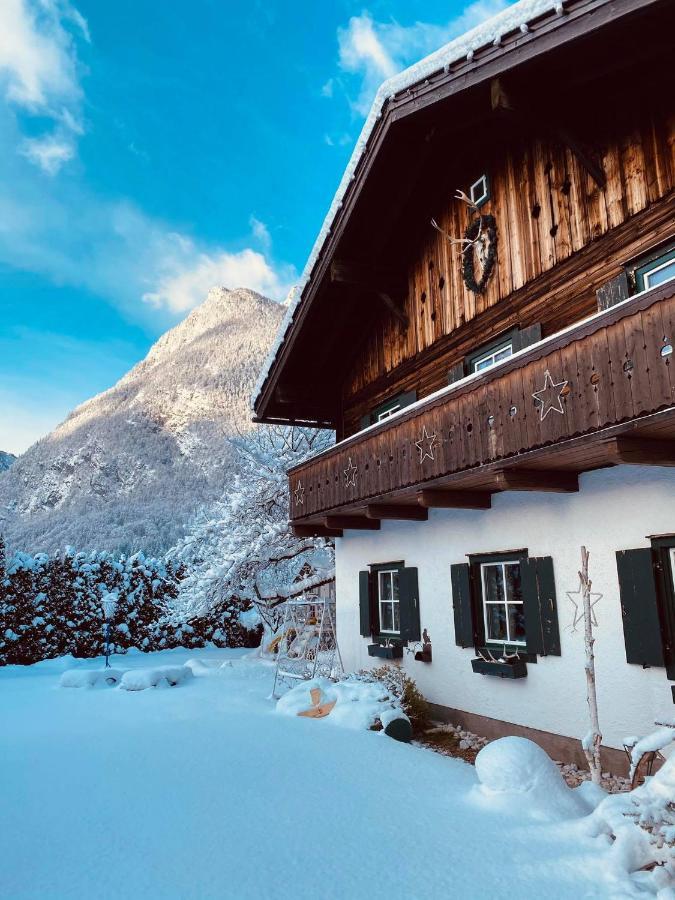 Forest Chalet, 15 Min To Salzburg Olt Town, And Most Beautiful Lakes, Secluded Location, 1,000 Sqm Garden, Mountainview, Panorama Sauna, Bath Whirlpool, Bbq&Bikes&Sunbeds For Free, Up To 10 P Golling an der Salzach Ngoại thất bức ảnh
