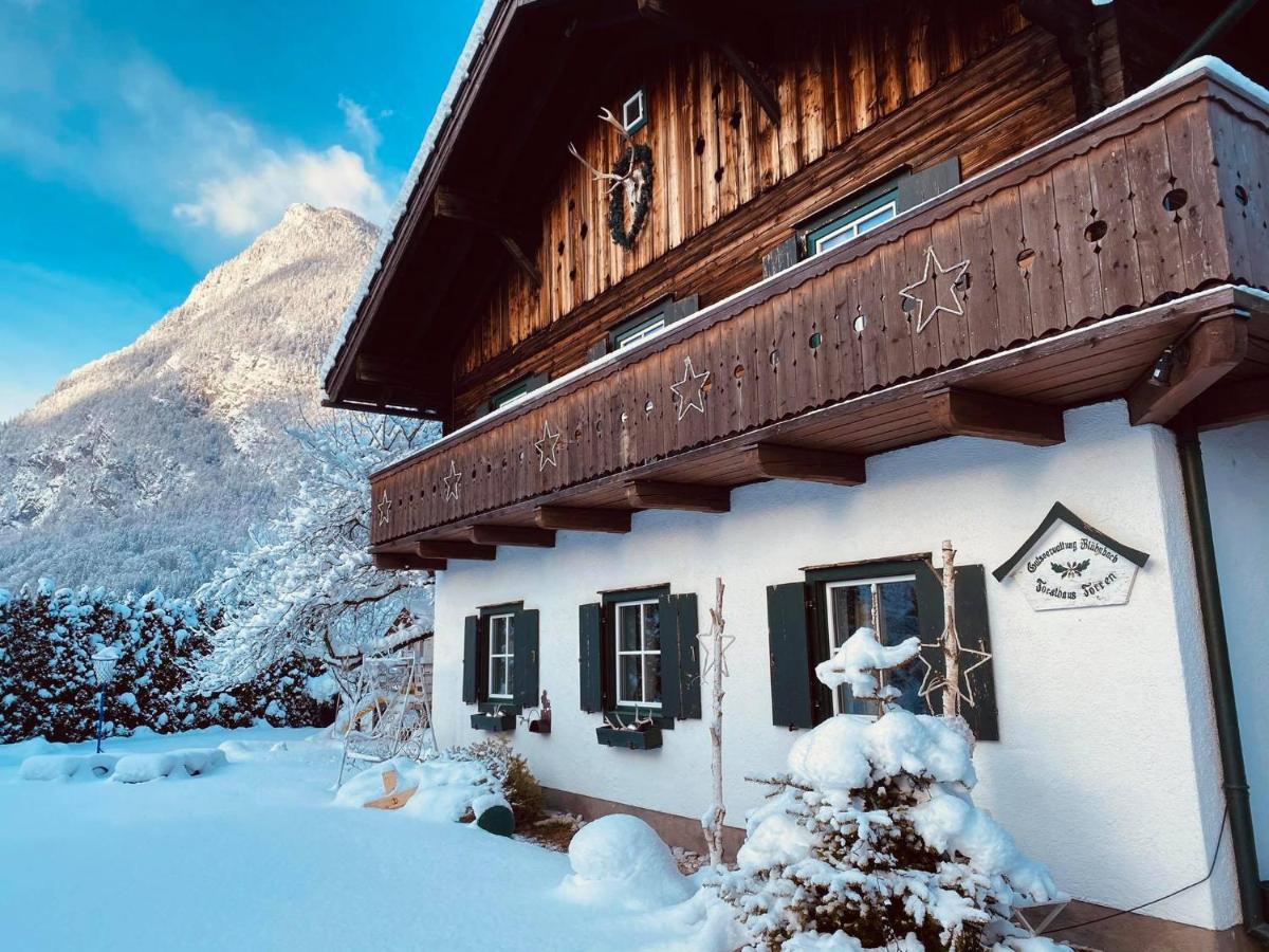 Forest Chalet, 15 Min To Salzburg Olt Town, And Most Beautiful Lakes, Secluded Location, 1,000 Sqm Garden, Mountainview, Panorama Sauna, Bath Whirlpool, Bbq&Bikes&Sunbeds For Free, Up To 10 P Golling an der Salzach Ngoại thất bức ảnh