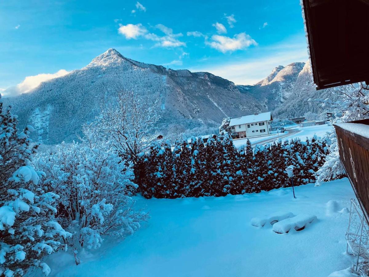 Forest Chalet, 15 Min To Salzburg Olt Town, And Most Beautiful Lakes, Secluded Location, 1,000 Sqm Garden, Mountainview, Panorama Sauna, Bath Whirlpool, Bbq&Bikes&Sunbeds For Free, Up To 10 P Golling an der Salzach Ngoại thất bức ảnh