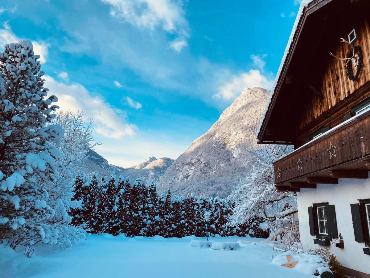 Forest Chalet, 15 Min To Salzburg Olt Town, And Most Beautiful Lakes, Secluded Location, 1,000 Sqm Garden, Mountainview, Panorama Sauna, Bath Whirlpool, Bbq&Bikes&Sunbeds For Free, Up To 10 P Golling an der Salzach Ngoại thất bức ảnh