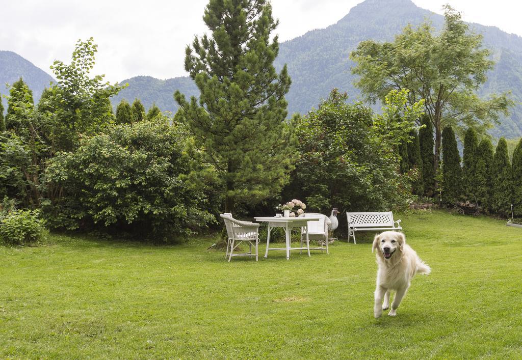 Forest Chalet, 15 Min To Salzburg Olt Town, And Most Beautiful Lakes, Secluded Location, 1,000 Sqm Garden, Mountainview, Panorama Sauna, Bath Whirlpool, Bbq&Bikes&Sunbeds For Free, Up To 10 P Golling an der Salzach Ngoại thất bức ảnh