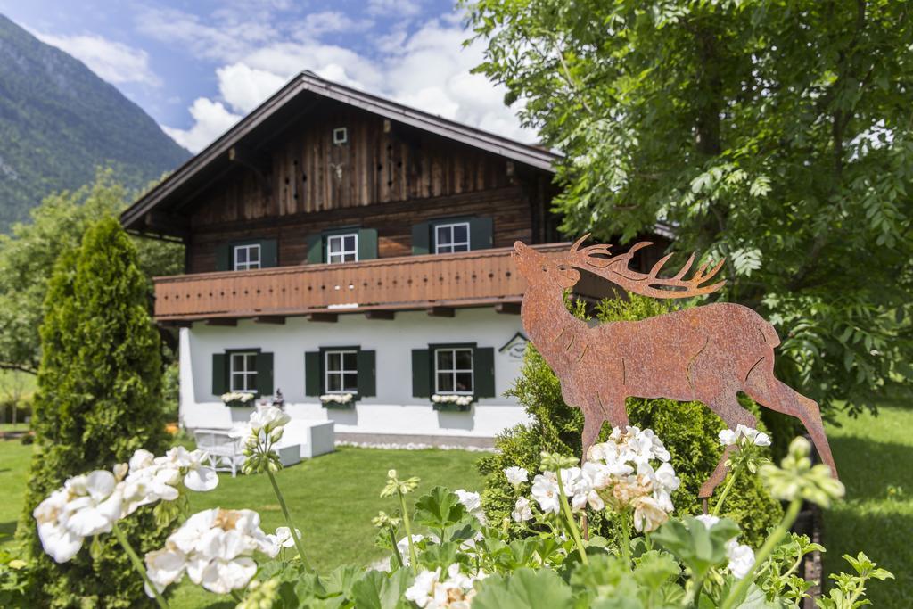 Forest Chalet, 15 Min To Salzburg Olt Town, And Most Beautiful Lakes, Secluded Location, 1,000 Sqm Garden, Mountainview, Panorama Sauna, Bath Whirlpool, Bbq&Bikes&Sunbeds For Free, Up To 10 P Golling an der Salzach Ngoại thất bức ảnh