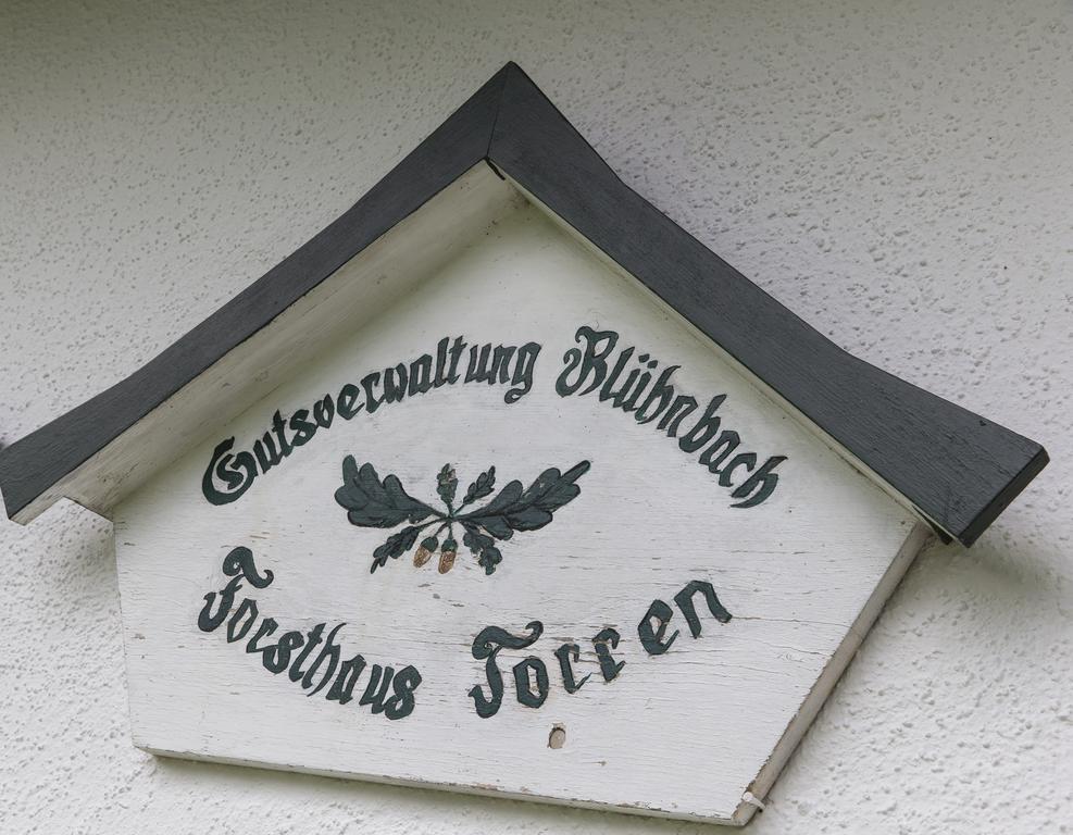 Forest Chalet, 15 Min To Salzburg Olt Town, And Most Beautiful Lakes, Secluded Location, 1,000 Sqm Garden, Mountainview, Panorama Sauna, Bath Whirlpool, Bbq&Bikes&Sunbeds For Free, Up To 10 P Golling an der Salzach Ngoại thất bức ảnh