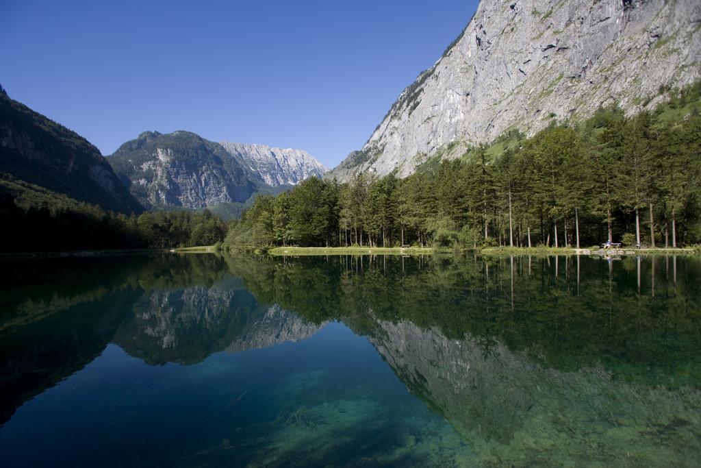 Forest Chalet, 15 Min To Salzburg Olt Town, And Most Beautiful Lakes, Secluded Location, 1,000 Sqm Garden, Mountainview, Panorama Sauna, Bath Whirlpool, Bbq&Bikes&Sunbeds For Free, Up To 10 P Golling an der Salzach Ngoại thất bức ảnh